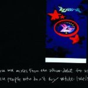 The Best Mixes from the Album - Debut for All the People Who Don't Buy White-Labels