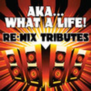 AKA... What a Life! (Re-Mix Tributes to Noel Gallagher's High Flying Birds) - EP