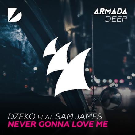 Never Gonna Love Me (feat. Sam James) - Single