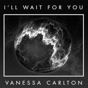 I'll Wait for You - Single