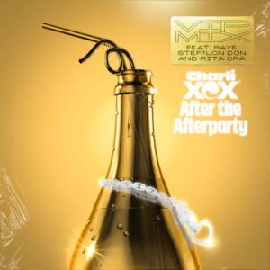 After the Afterparty (feat. Raye, Stefflon Don & Rita Ora) [VIP Mix] - Single