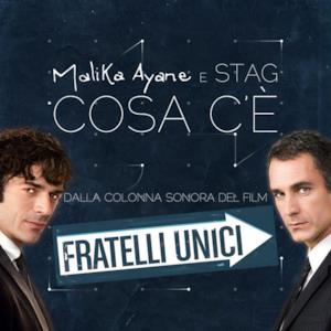 Cosa c'è (From "Fratelli unici") - Single