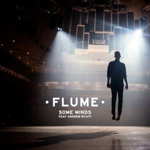 Some Minds (feat. Andrew Wyatt) - Single