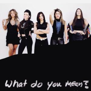 What Do You Mean - Single