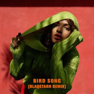 Bird Song (Blaqstarr Remix) - Single
