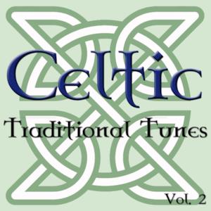 Celtic Traditional Tunes, Vol. 2