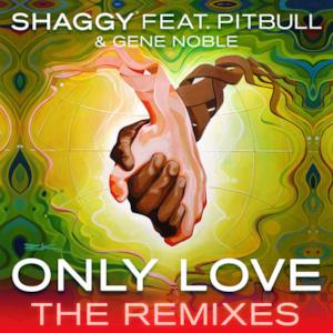 Only Love (feat. Pitbull & Gene Noble) [The Remixes] - Single
