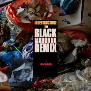 Indestructible (The Black Madonna Remix) - Single