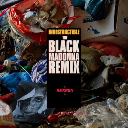 Indestructible (The Black Madonna Remix) - Single