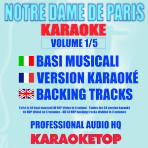 Notre Dame De Paris, Vol. 1/5 (Karaoke Version)