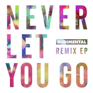 Never Let You Go (feat. Foy Vance) [Remixes]