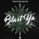 Blast Ya (feat. Barrington Levy) - Single