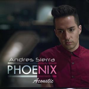 Phoenix Acoustic (feat. The Intellexz) - Single