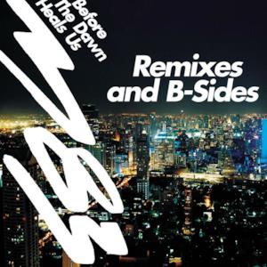 Before the Dawn Heals Us - Remixes & B-Sides