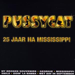 25 Jaar Na Mississippi