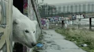 Jude Law e i Radiohead insieme per Greenpeace e l'orso polare [VIDEO]