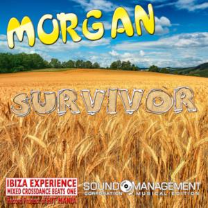 Survivor (Ibiza Experience Mixed Crossdance Beats One Record Product of Hit Mania) - Single