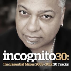 Incognito 30: The Essential Mixes (2003-2012)