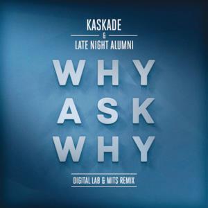 Why Ask Why (Digital LAB & MITS Remix) - Single