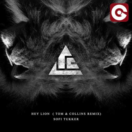 Hey Lion (Tom & Collins Remix) - Single