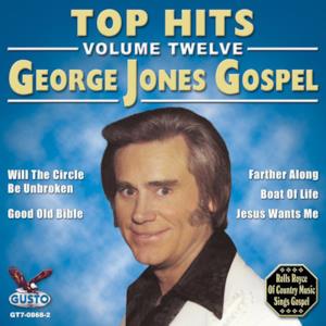 Top Hits, Vol. 12: Gospel - EP