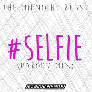 #Selfie (Parody) - Single