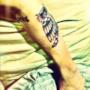 Justin Bieber tatuaggio gufo