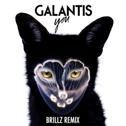 You (Brillz Remix) - Single