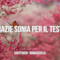 Ciuffi Rossi: le migliori frasi dei testi delle canzoni