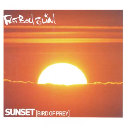 Sunset (Bird of Prey) - Single