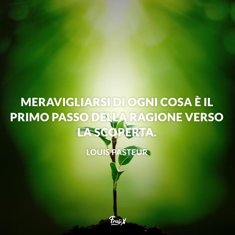 Frasi sullo stupore pasteur Piantina in primo piano