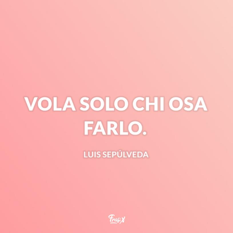 Frasi sul volo Luis Sfondo rosa