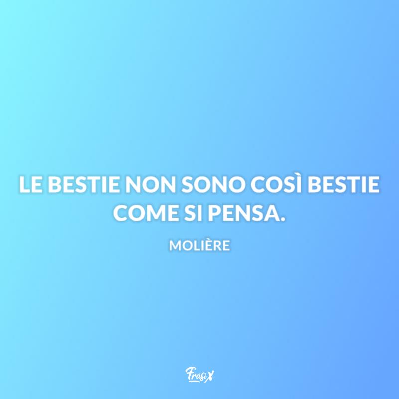 Stati bellissimi da mettere su whatsapp moliere Immagine con frase moliere per stati bellissimi da mettere su whatsapp