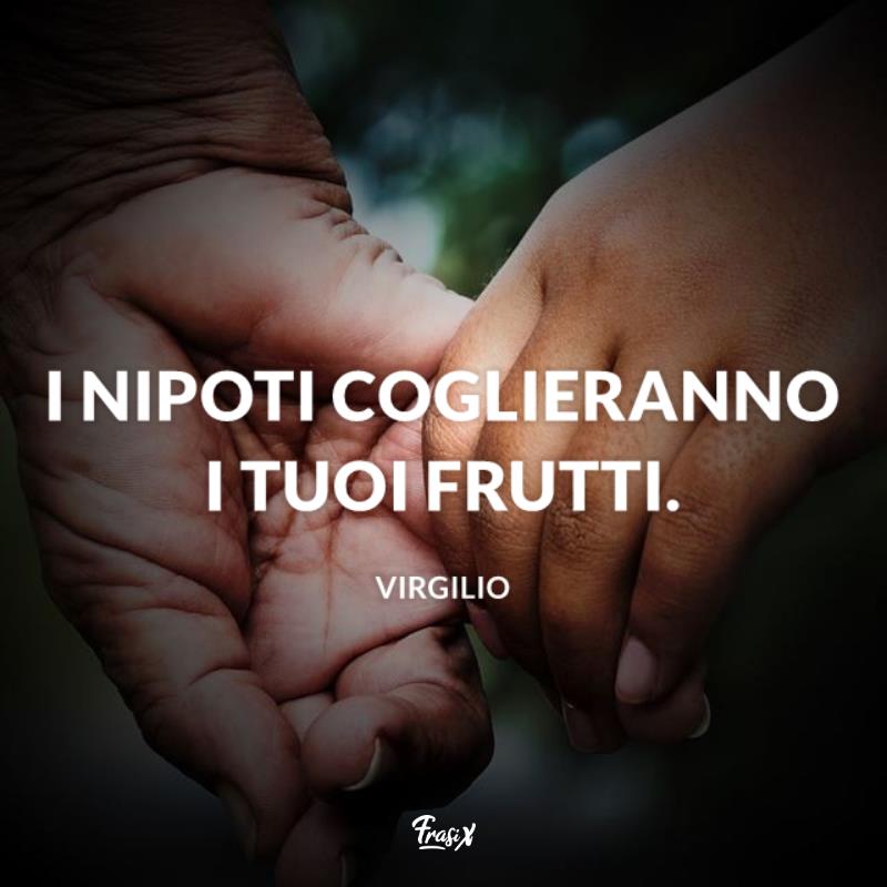 Frasi sui nipoti virgiglio Immagine con citazione virgilio per frasi sui nipoti