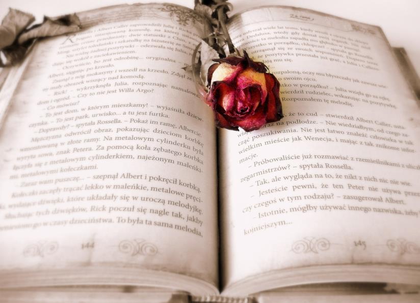 Frasi William Shakespeare Coppia al tramonto lancia dei palloncini in aria