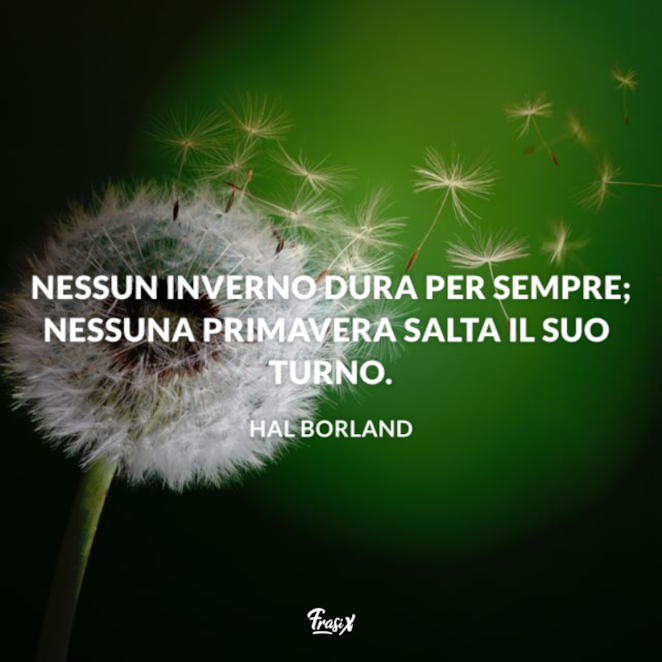 Le Frasi Di Incoraggiamento Piu Profonde Per Chi E In Difficolta