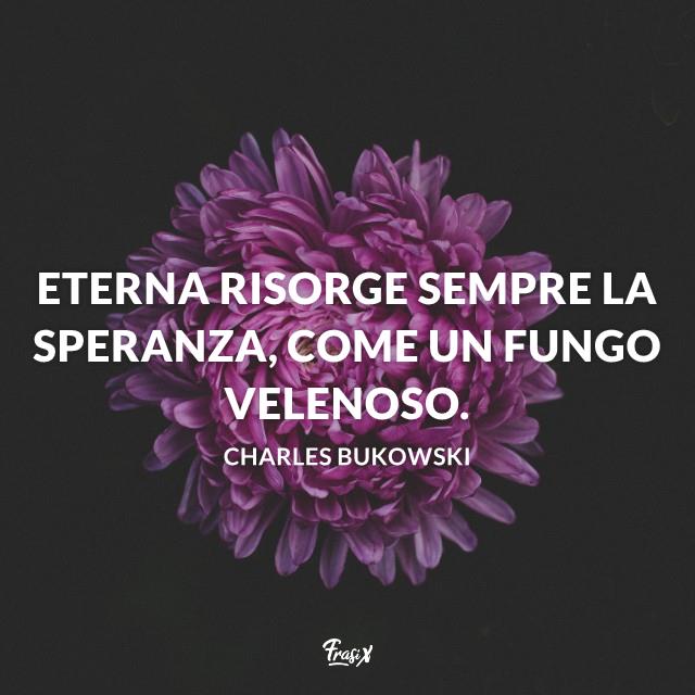 Frasi sulla speranza charles Eterna risorge sempre la speranza, come un fungo velenoso.