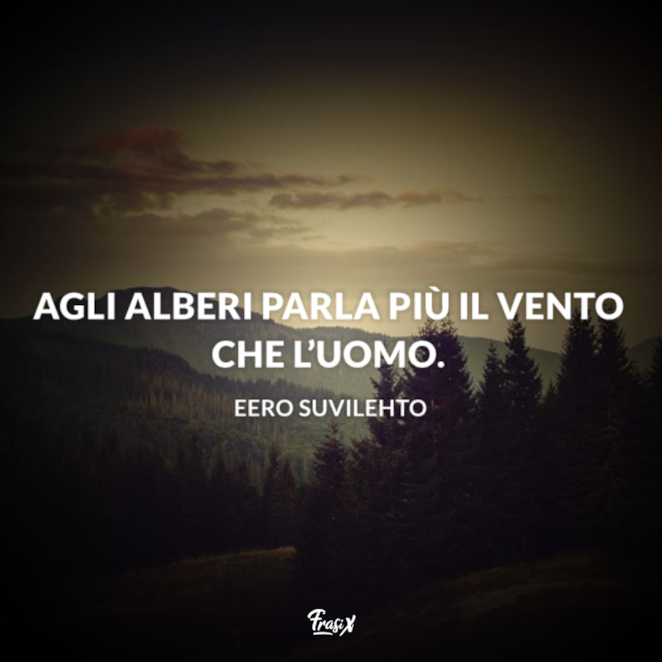 Frasi Sul Vento Le Piu Belle E Originali