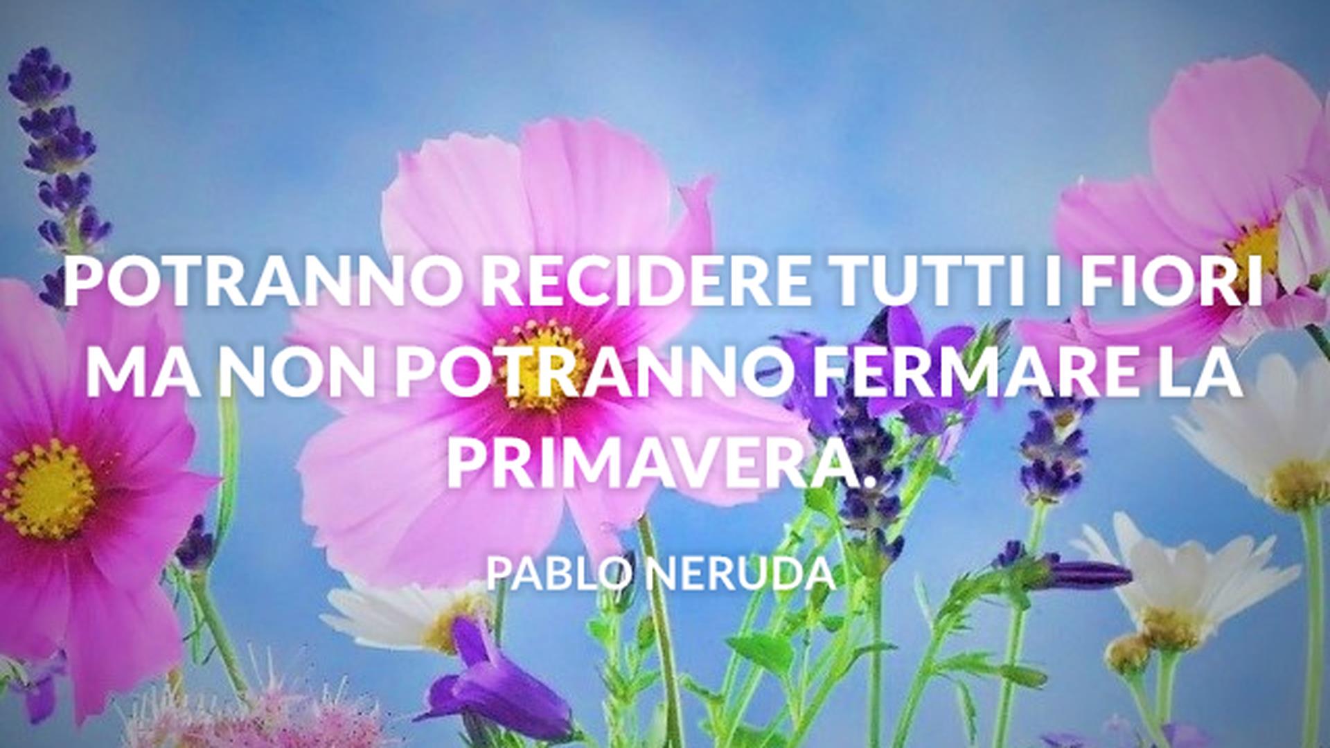 Frasi Fiori 45 Citazioni Celebri Che Celebrano La Primavera