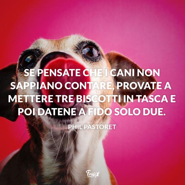 Immagini Divertenti Cani Con Frasi