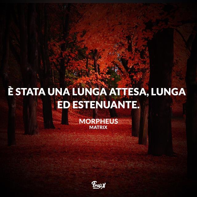 Frasi Matrix E' stata una lunga attesa, lunga ed estenuante