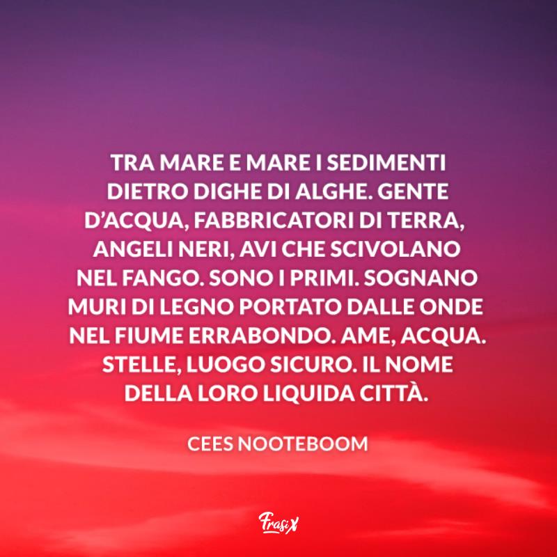 Frasi per Amsterdam cees Immagine con citazione cees per frasi per amsterdam