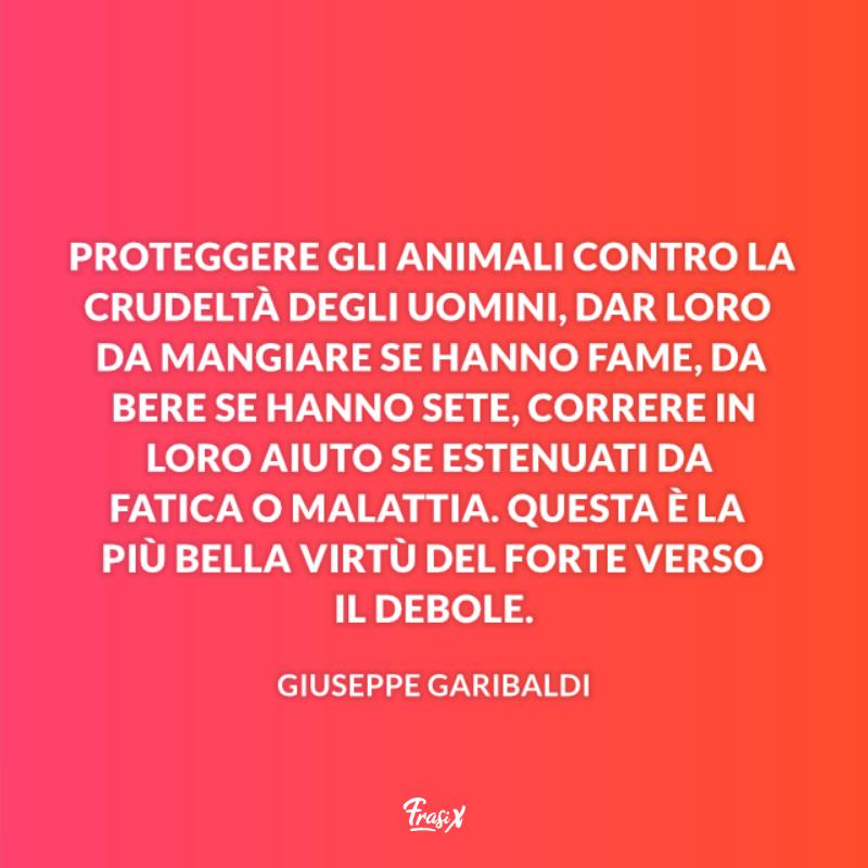 Aforismi celebri animali garibaldi Immagine con citazione garibaldi per aforismi celebri animali