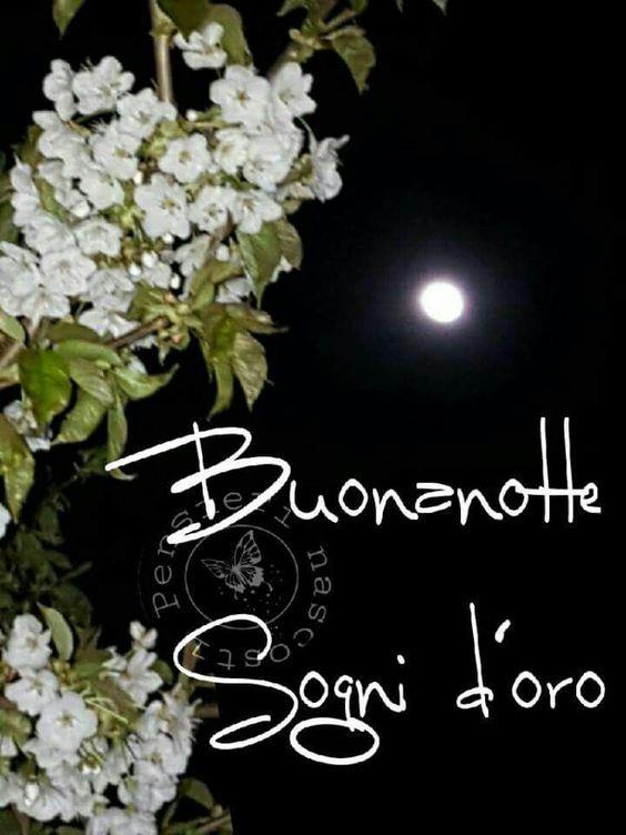 Scarica Gratis Immagini Di Fiori Per Il Buongiorno Buonanotte E Buon Compleanno