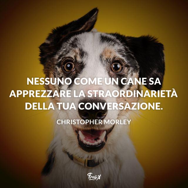 Frasi sui cani Frasi sui cani