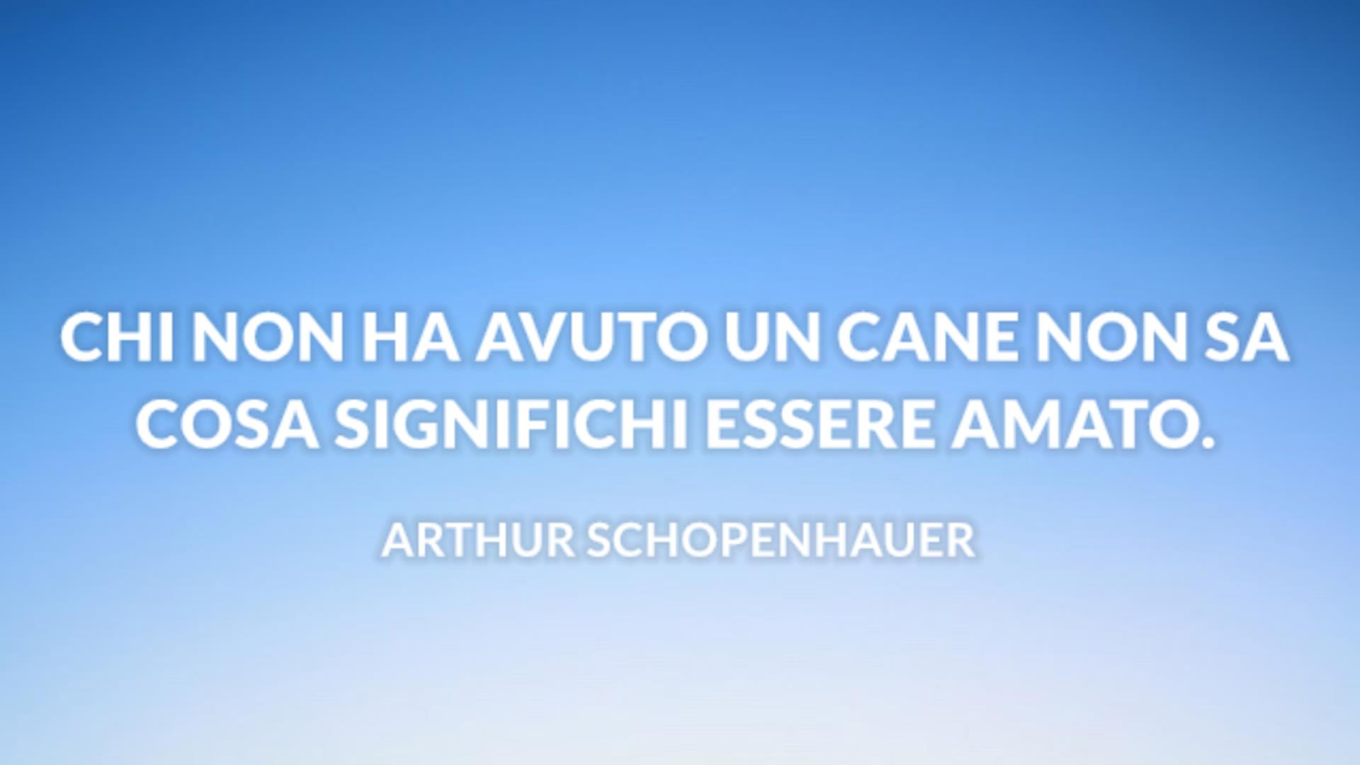 Frasi Sui Cani