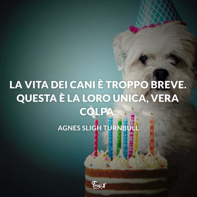 Frasi Sui Cani