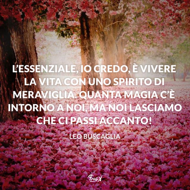Frasi sullo stupore buscaglia Bosco con alberi in fiore