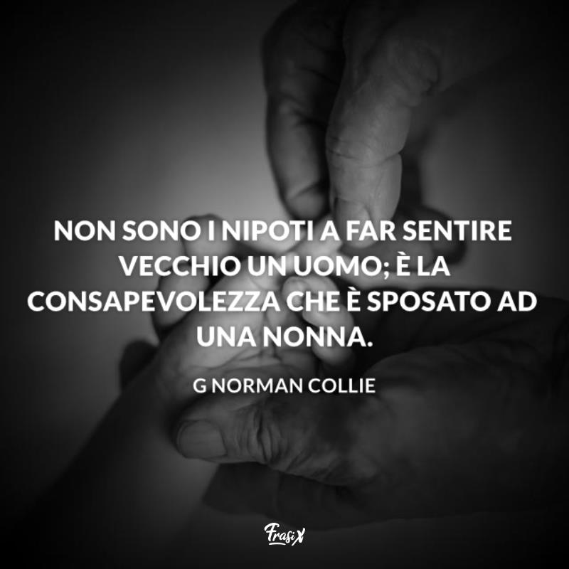 Frasi e aforismi sui nipoti collie Immagine con citazione collie per frasi e aforismi sui nipoti
