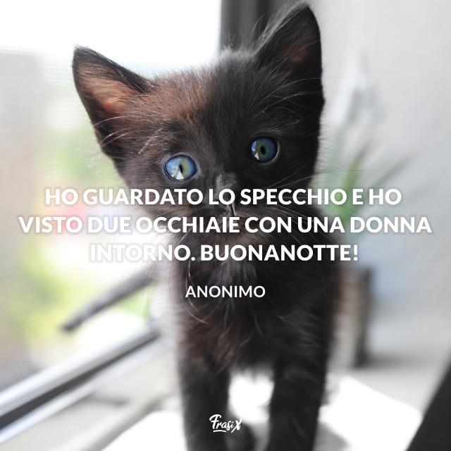Buonanotte divertente Ho guardato lo specchio e ho visto due occhiaie con una donna intorno. Buonanotte!